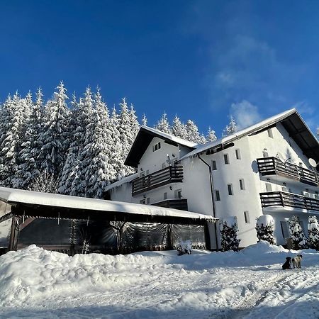 Pensiunea Silvania Statjunea Borsa ภายนอก รูปภาพ