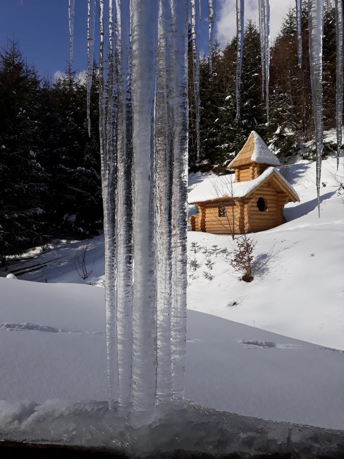 Pensiunea Silvania Statjunea Borsa ภายนอก รูปภาพ