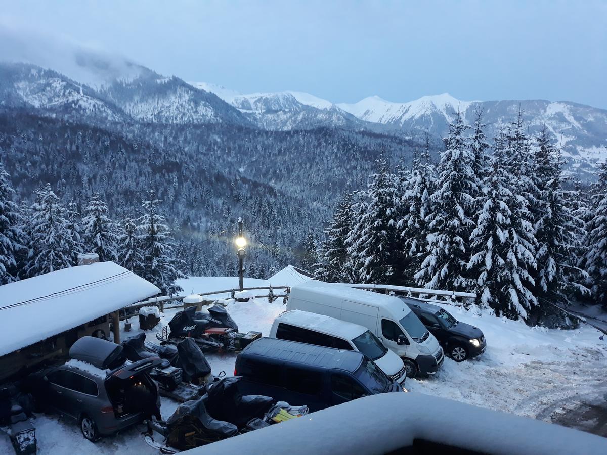 Pensiunea Silvania Statjunea Borsa ภายนอก รูปภาพ